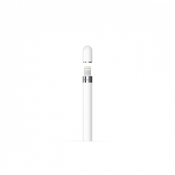Apple Pencil 1st Gen. + USB-C Adapter (2022)-465326