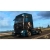 Gra PC Euro Truck Simulator 2 – Pirate Paint Jobs Pack (wersja cyfrowa; ENG; od 3 lat)-58894